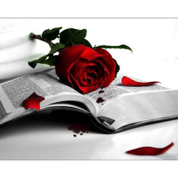Red Rose Book