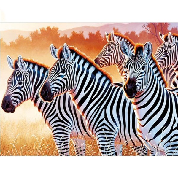 Wildlife Zebras
