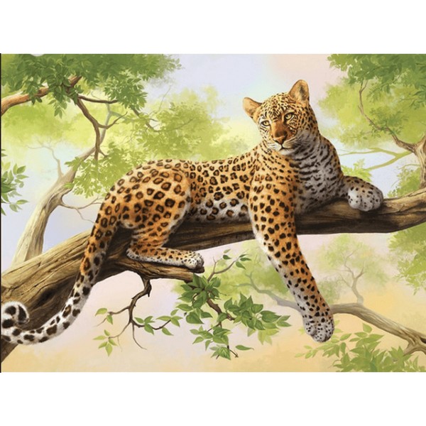Wild Leopard Animal
