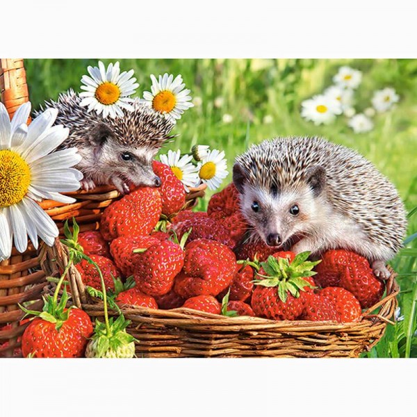 Strawberry Hedgehogs