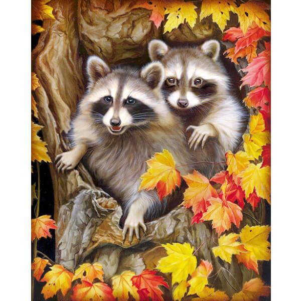 Two Racoons Animal