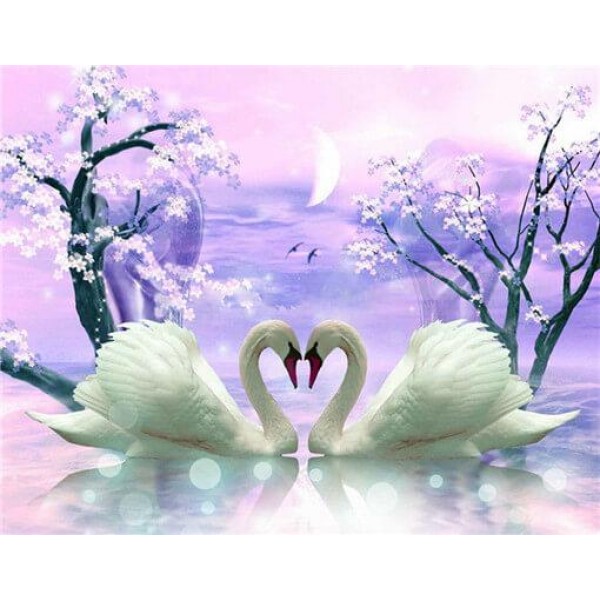 5D Swans Love