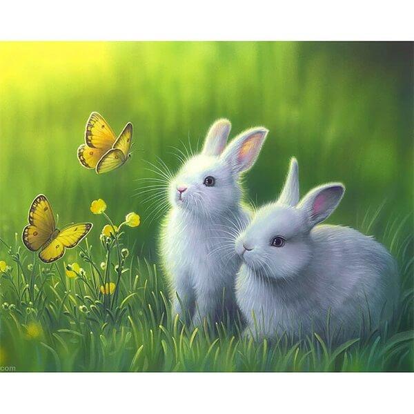 Butterfly And White Rabbit Animal