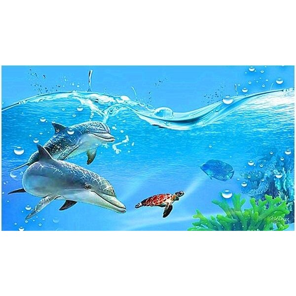 Turtle and Dolphin Swim