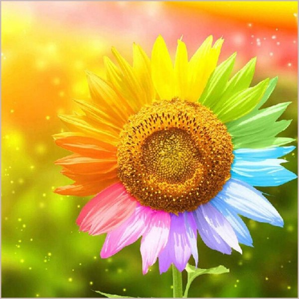 Sunflower with Colorful Petals