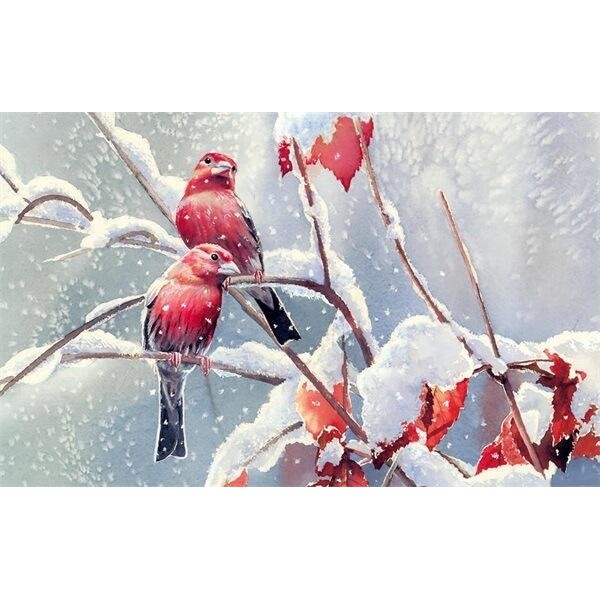 Red Birds On Branch With Snow