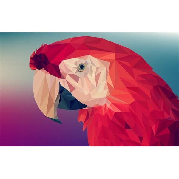 Red Geometric Parrot