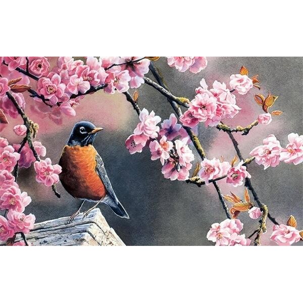 Bird And Cherry Blossom