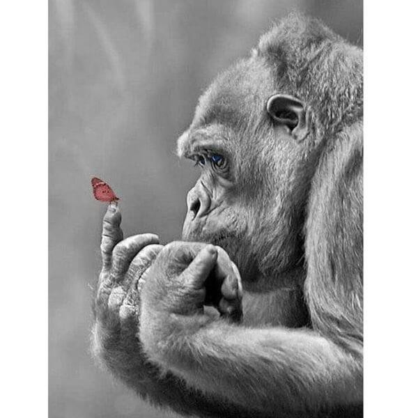 Gorilla and Butterfly