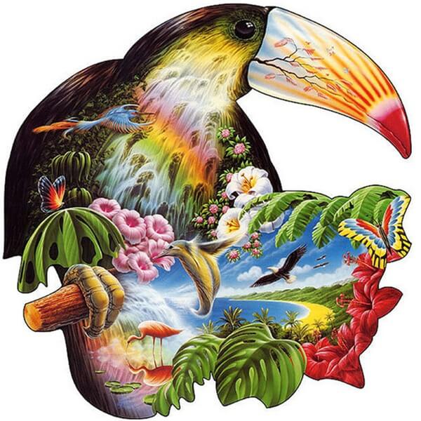 Tropical Toucan Bird