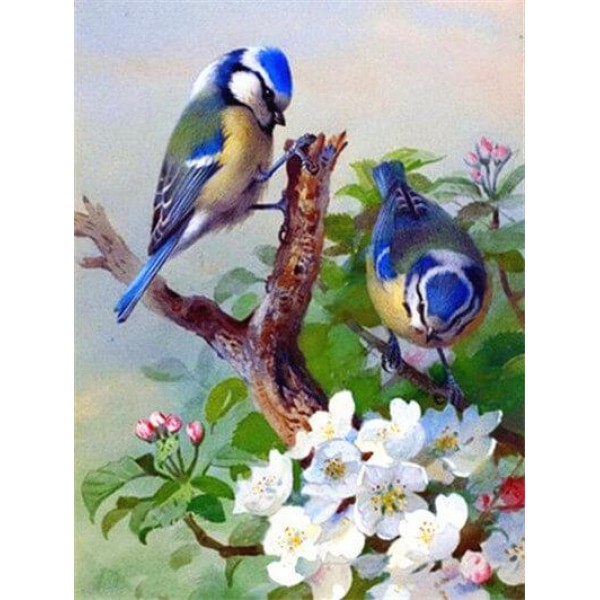 Spring Bluebirds