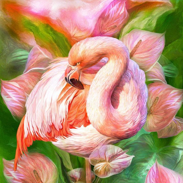 Flamingo Animal Painting