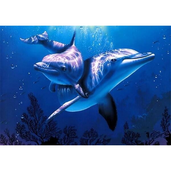 Couple Dolphin