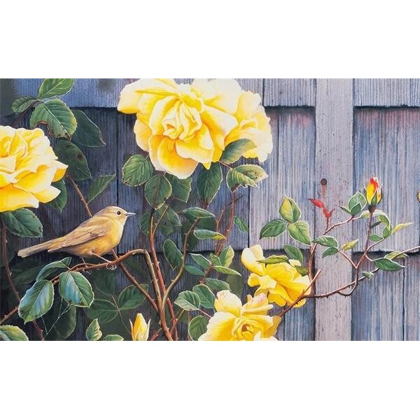 Yellow Bird On Yellow Rose Branch