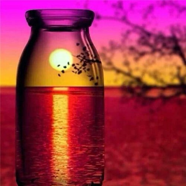 Violets Sunset Landscape Bottle