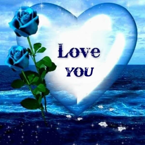 Blue Roses Love You
