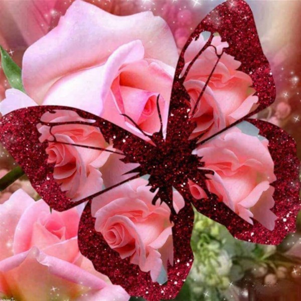 Pink Rose Butterfly