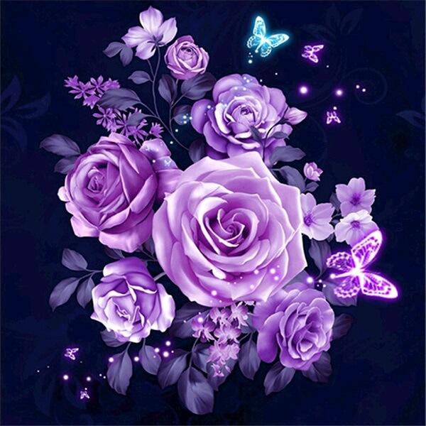 Purple Rose Flowers