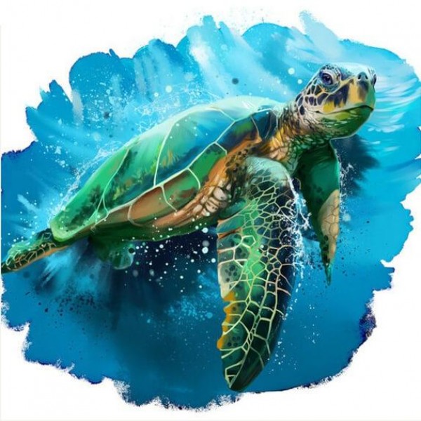 Water Sea Turtle