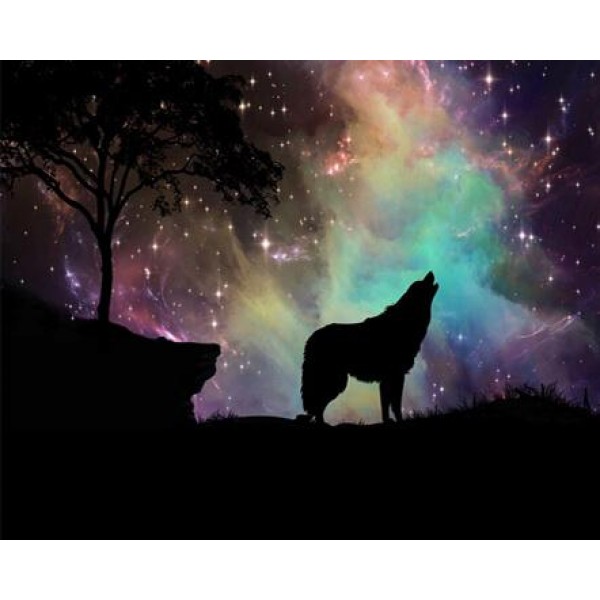 Wolf Under Starry Night
