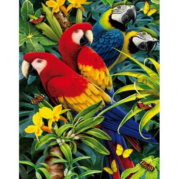 Pairs Of Blue And Red Parrots