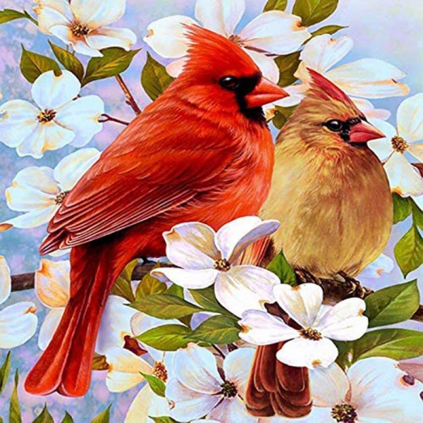 Two Cardinals