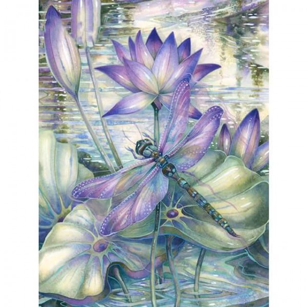 Lotus Pond Dragonfly