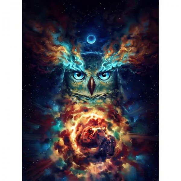 Galaxy Owl