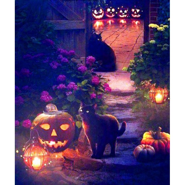 Halloween Night Cat