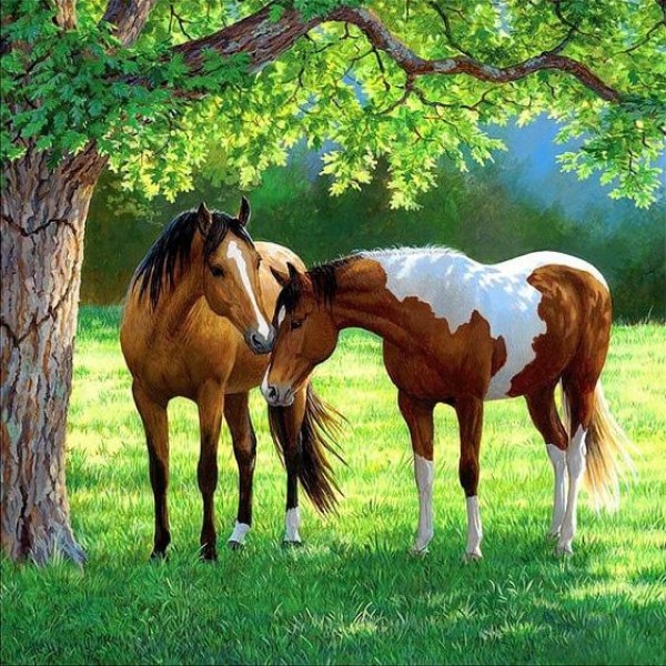 Two Horses Under A Tree