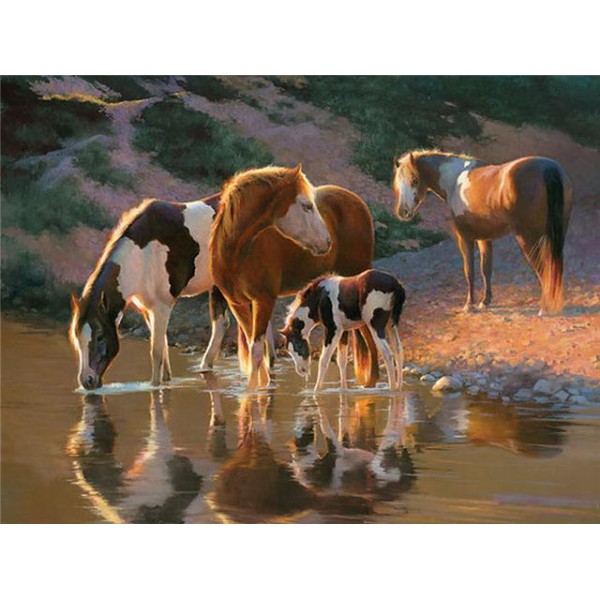 Water Reflection Of Horses