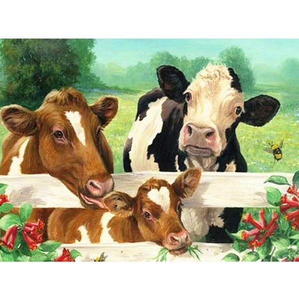 Cattle Family