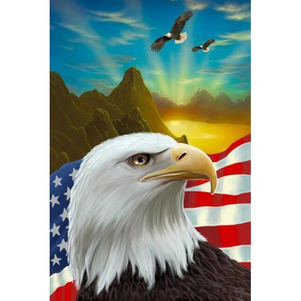 Flying American Eagle