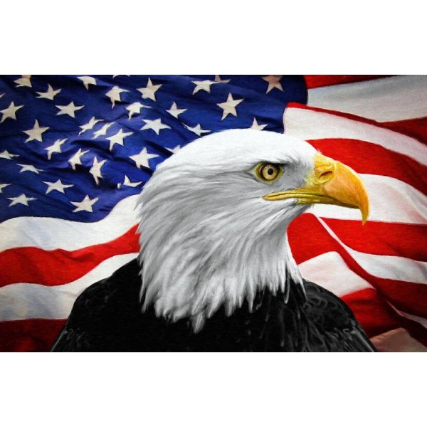 American Fierce Eagle