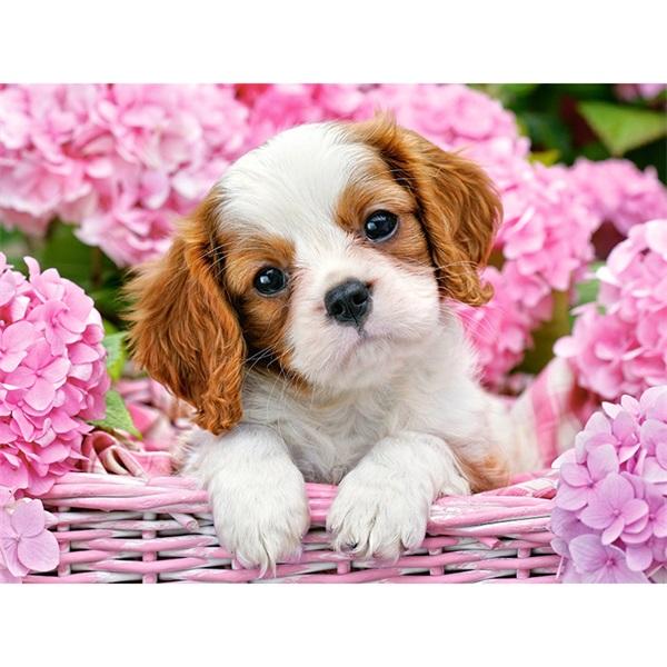 Flower Basket Dog