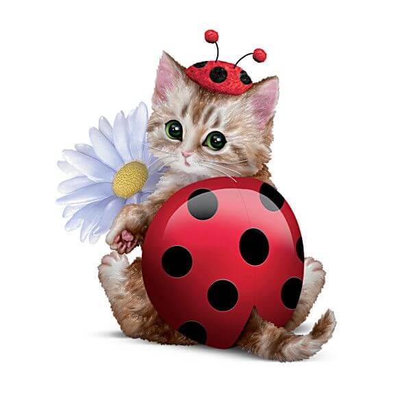 Flower Ladybug Cat