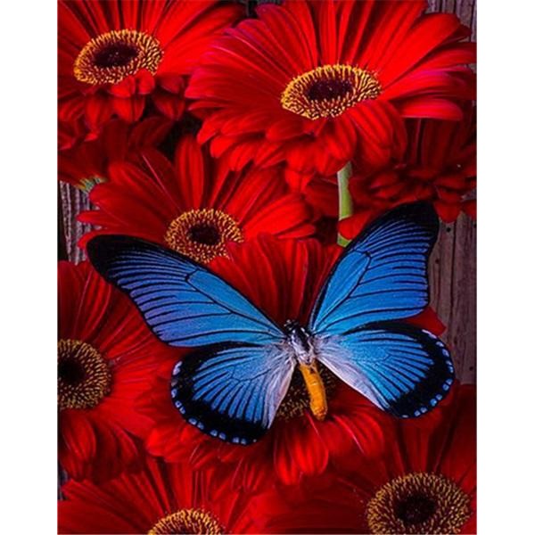 Red Flower Butterfly