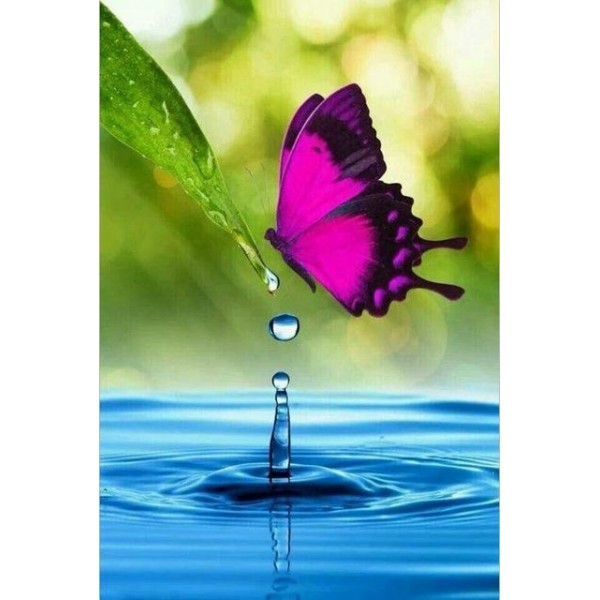 Water Drop Butterfly