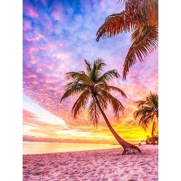 Florida Palm Trees