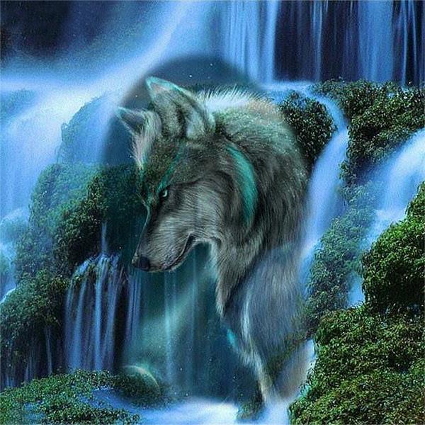 Waterfall Wolf
