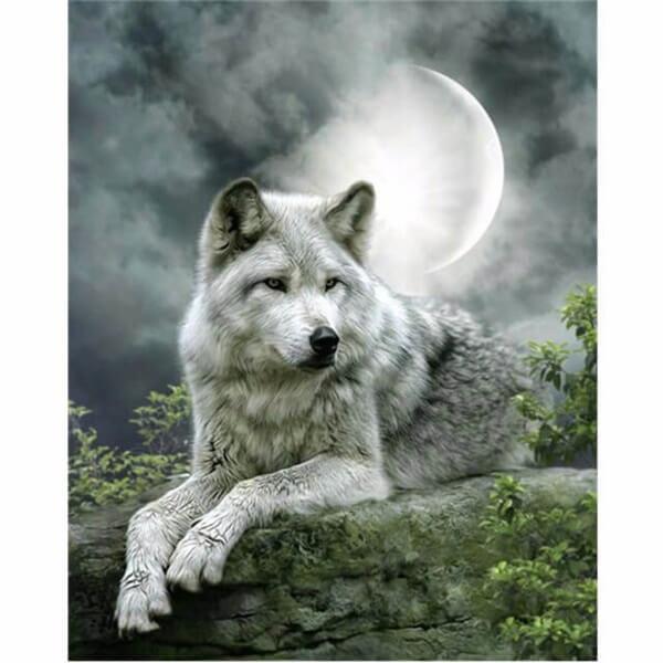 White Wolf Under Moon