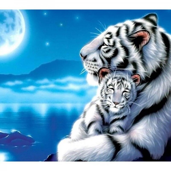 Night Tiger Love