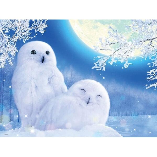 Cute White Owls