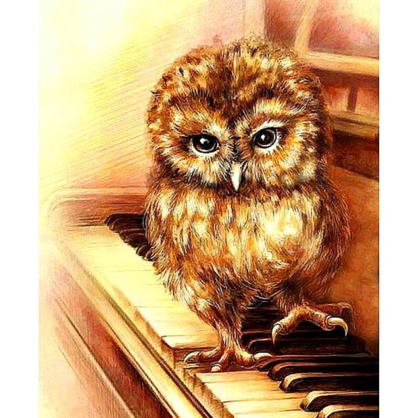 Piano Little Owl