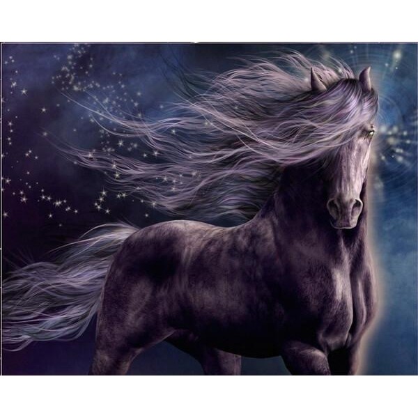 Black Fantasy Horse