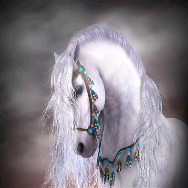 White Horse Animal