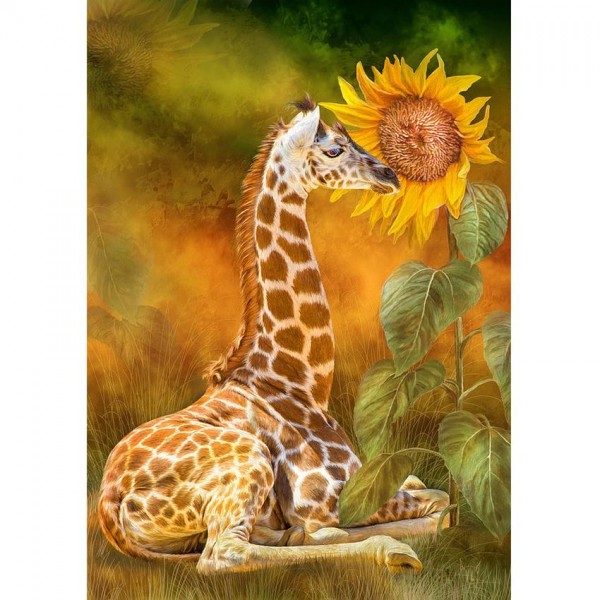 Giraffe Smelling Sunflower