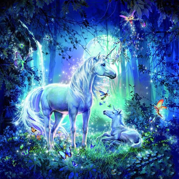 Unicorn and Fairies