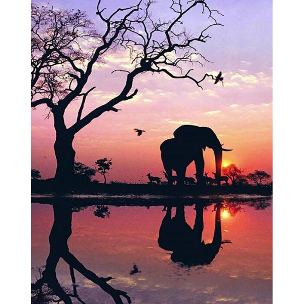 Beautiful Sunset Elephant