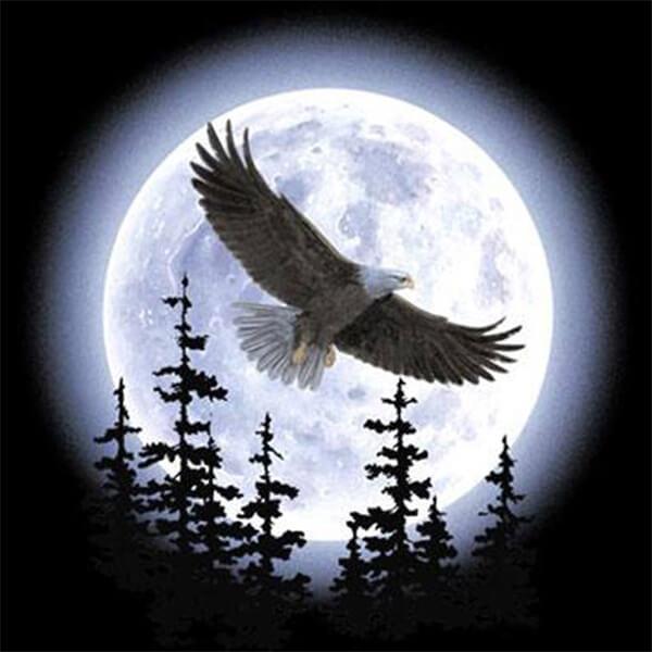 Moonlit Quest Eagle